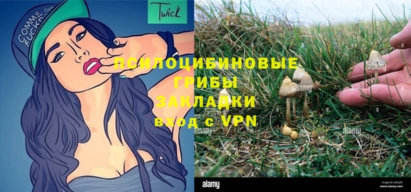 прущий лед Арсеньев