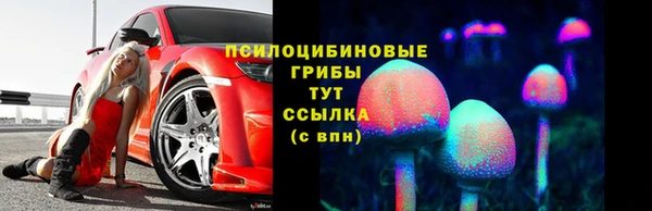 твердый Армянск
