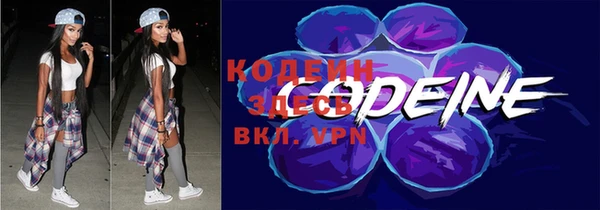прущий лед Арсеньев