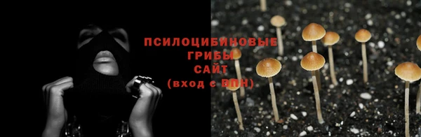 твердый Армянск