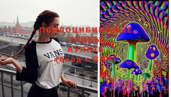 прущий лед Арсеньев