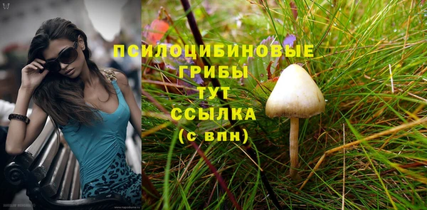 твердый Армянск