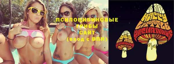 прущий лед Арсеньев