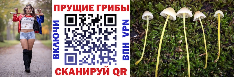 Галлюциногенные грибы ЛСД  Нижняя Салда 